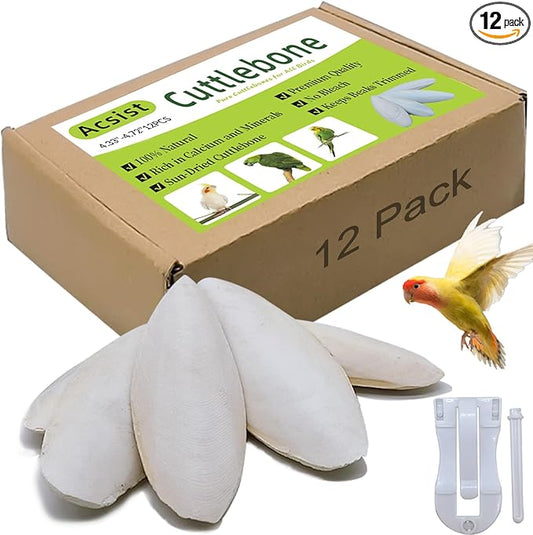 4.3"-4.7" Cuttlebone for Birds,Parakeets Cuddle Bone Beak Trimming,Premium Calcium Natural Cuttlefish Bone for Parrot,Cockatiel,Budgie,Tortoise, Snails,Reptiles,12 Pcs