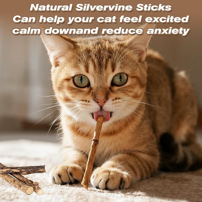 CARGEN Silvervine Cat Chew Sticks - 12 PCS Natural Kitten Chew Toys, Dental Cleaning Sticks, Indoor Cat Daily Treats & Entertainment Supplies