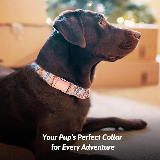 Dog Collar and Leash Set Girls Adjustable Puppy Collars with Floral Bow Tie for Small Medium Large Female Dogs, Orange Flower, L
