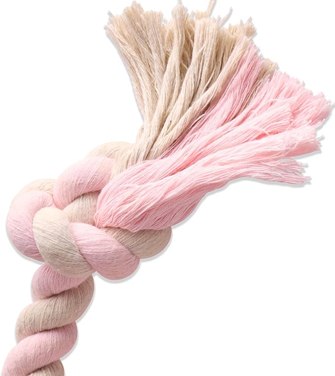 Pet Passion Natural Rubber Tire and Organic Cotton Rope Pull and Chew Dog Toy for All Pet Breeds, Blush, Large