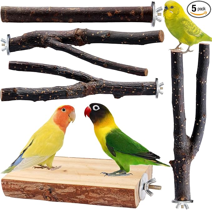 Bird Toys Parakeet Perch Budgie Perch Wood Stand Fork Toys Multi-Branch Perch Platform Toy for Small Conures,Cockatiel,Parrotlet,Lovebird,Parrot,Finches