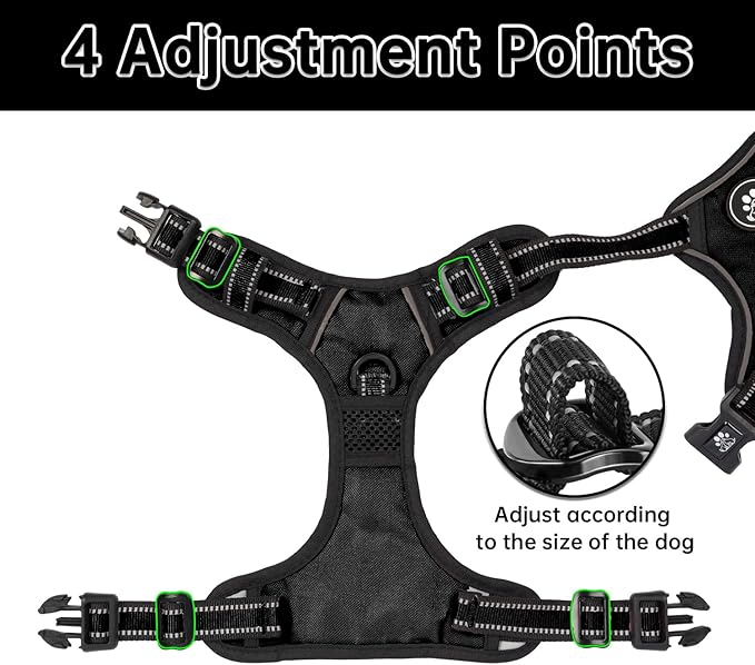 NESTROAD No Pull Dog Harness,Adjustable Oxford Dog Vest Harness with Leash,Reflective No-Choke Pet Harness with Easy Control Soft Handle for Small Dogs(Small,Black)