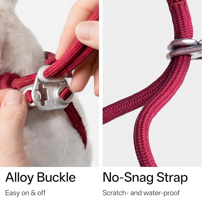 Escape Proof Y Shape Cat Harness Anti-Choke Adjustable Soft Comfortable Padded Cat Vest Harness Anti Escape Cat Rope Harness for Kitten Small Medium Large Cats (Olive, M)