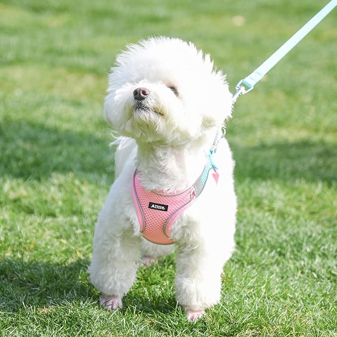 AIITLE No Pull Dog Harness and Leash Set, Step in Adjustable Dog Harness with Padded Vest for All Weather, Dog Leash with Soft Padded Handle, Easy to Put on Small and Medium Dogs Pink S