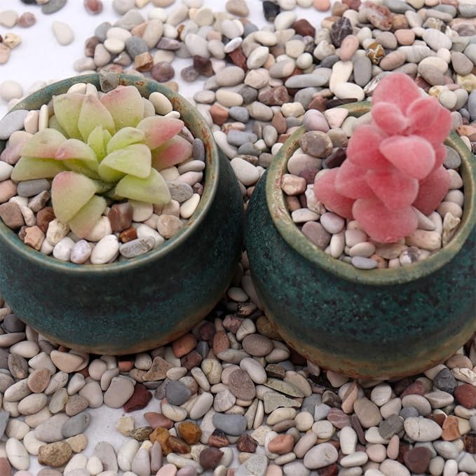 Earth Color Rocks for Plants & Planters, Decorative Pebbles, 1/5", 10 lb