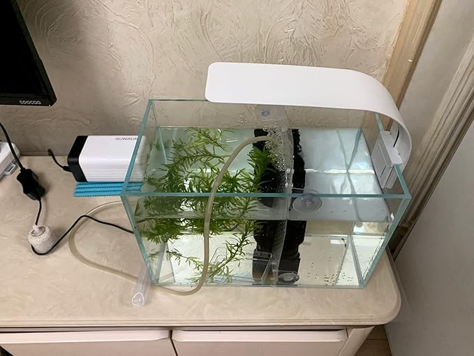 AWXZOM Small Nano Tall Rimless Tank, Glass Fish Tank, Betta Fish Tank, Aquarium (2.85 Gal, 11.8x6.7x7.8 inch)