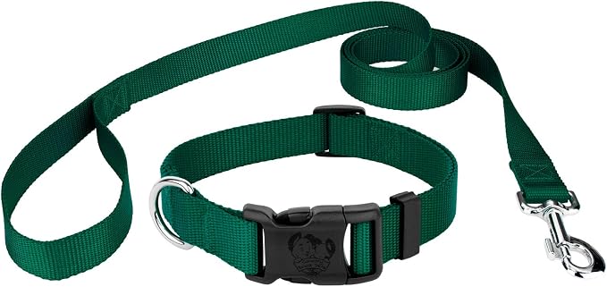 Country Brook Petz - Everyday Nylon Dog Collar and Leash - 10+ Cool Colors (1 Inch, Extra Large, Green)