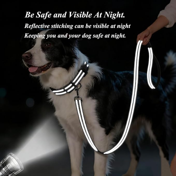 Dog Collar Leash Set, Gradient Color, with Safety Reflective Strips, 5 ft Matching Leash, Neoprene Padded Handle, Adjustable 4 Sizes for Small Medium Large Dogs.(S, Green Orange)