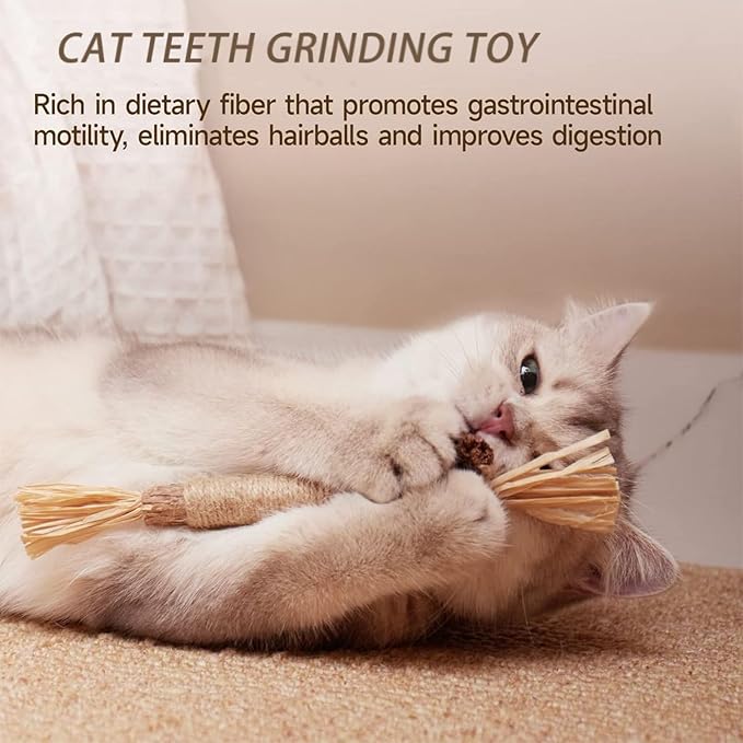 UBIETY Natural Silvervine Dental Sticks, silvervine Sticks for Cats，Natural Cat Chew Stick, Interactive Kitten Chew Playthings, for Indoor Kitty Nip Teeth Cleaning Dental Care Biting (10PCS)