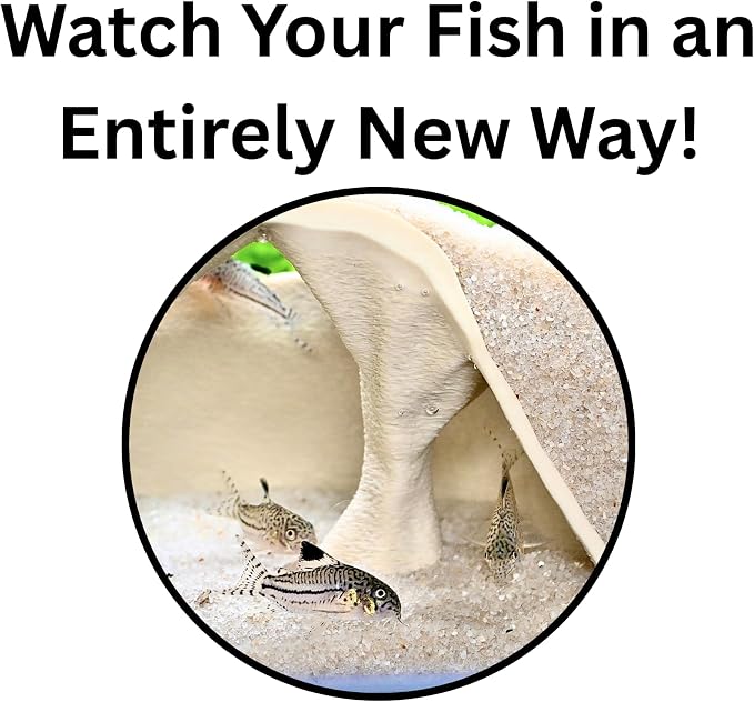 Aquarium Underground Cave Natural Mangrove Tree | Viewing Fish Under Gravel Tunnel Hide | Fish Tank Hideout Decor Decoration Enrichment for Corydora Catfish, Kuhli Loach, Pleco, Betta (Bone White)