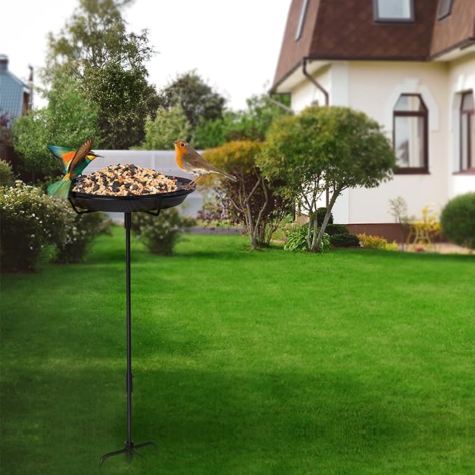 HRAYLTOP Standing Bird Feeder Bowl with 29.1 inch Iron Stand - Detachable Outdoor Decor for Garden Backyard Patio and Deck - Perfect for Attracting Birds