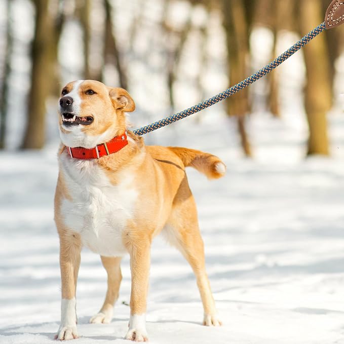 Mile High Life Rope Leash with Genuine Leather Connection, 6 FT/5 FT/4 FT, Heavy Duty Dog Leash for Medium & Large Dogs (Peacock Blue, 60Inch)