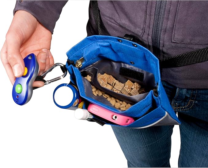 PetSafe Treat Pouch Sport - Easy Access Waterproof Treat Pouch for Daily Use - Convenient Phone & Keys Carry with Dual Inner Pocket & Front Storage Pocket - Adjustable Fit - Standard - Red