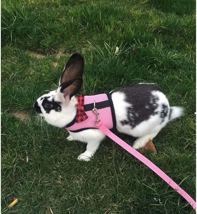 Rabbit Harness with Leash Adjustable Soft Mesh Vest Harness for Bunny Kitten Guinea Pig Rat (L, Pink)