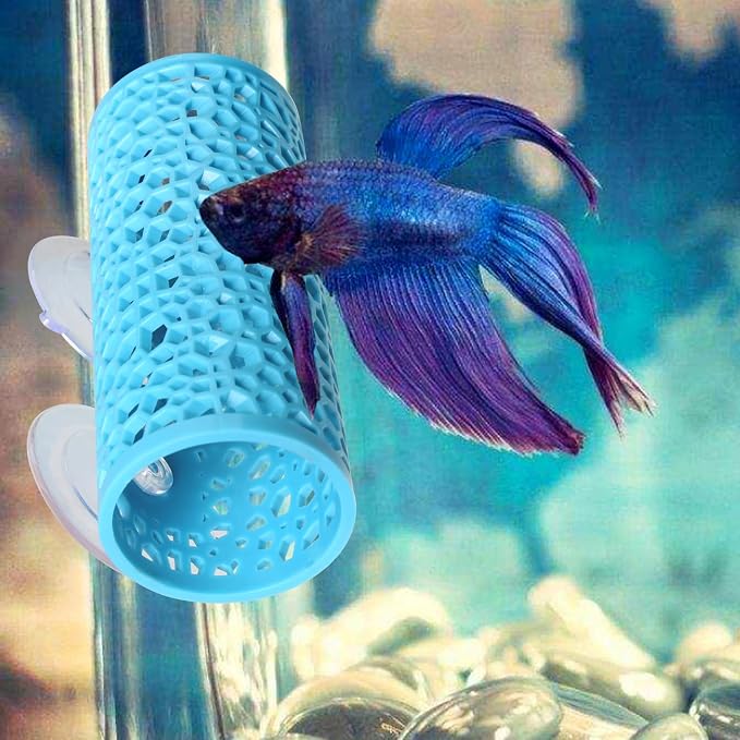 Abizoo Betta Fish Tunnel Hideout, Hollow Coral Aquarium Decor, Light Blue | Betta Hideaway Cave, Suction Cup Mount, Aquarium-Safe Material, Shelter for Shrimp Guppies Tetras Danios, Fish Tank Accessory