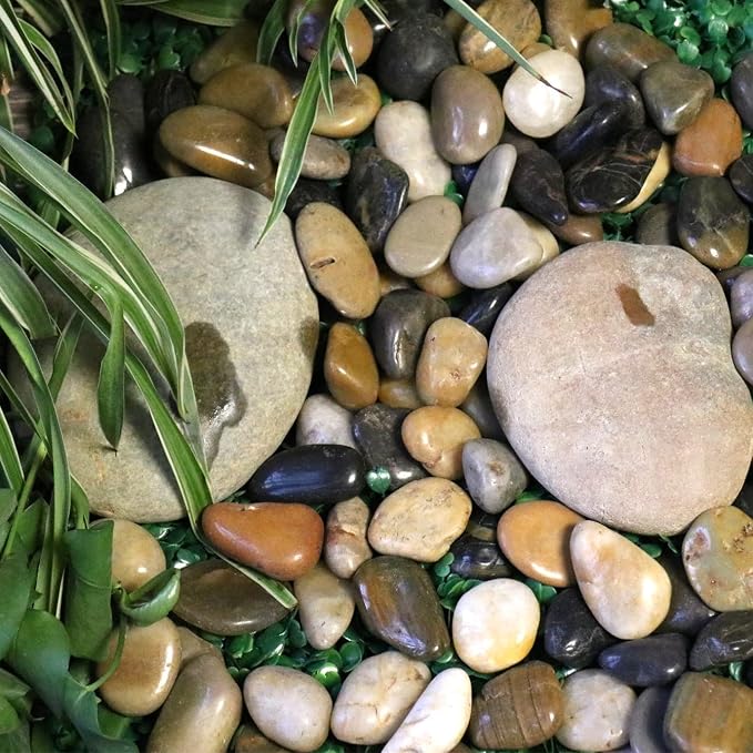 Mixed Color Polished Rocks for Plants, Decorative Pebbles, 1-2 Inch, 10 lb