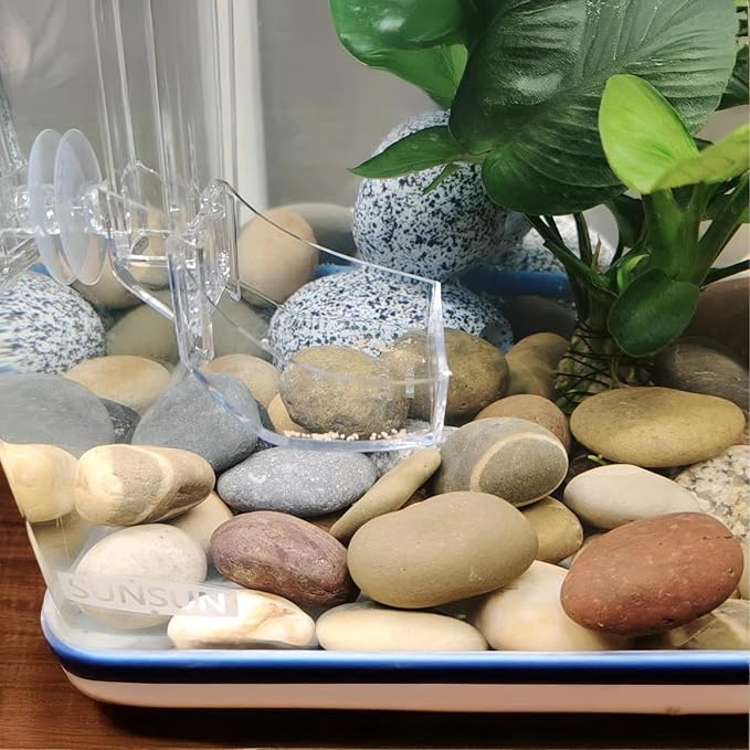 Natural River Rocks-40 lbs of Pebbles and River Stones,1-2 Inch Plant Rocks for Landscaping,Garden Paving,Crafting,Walkways,and Outdoor Decorative Stone,Mexican Beach River Rocks
