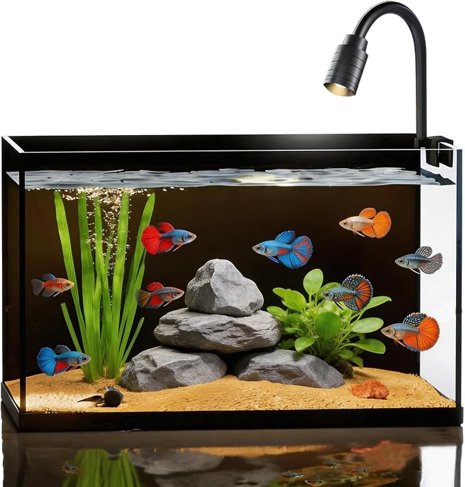 Ultra-Clear Glass Rimless Black Small Fish Tank Kit | 2Gal Nano Desktop Fish Tank with Light Cleaning Tool & Décors,Small Fish Aquarium for Betta,Shrimp,Small Fish