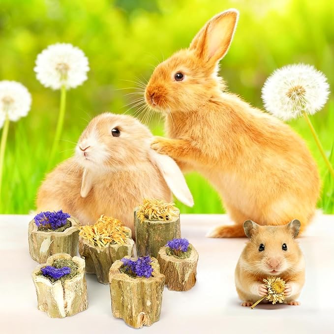 3.5oz Rabbit Chew Toys for Teeth，Bunny Papaya Wood Chew Toys Guinea Pig Treats with Apple Stick for Rabbits Guinea Pigs Hamsters Chinchillas Gerbils Prevent Teeth Overgrowth (3.5 oz, Flower)