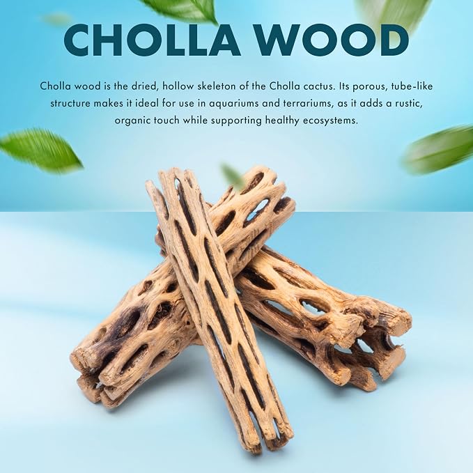 Natural Cholla Wood - Driftwood for Aquariums, Air Plant Base, Hermit Crab and Freshwater Shrimp Hideout, Fish Tank Decoration, Chinchilla Chews, Reptile Habitat Wood - 6 Inch, 2pc