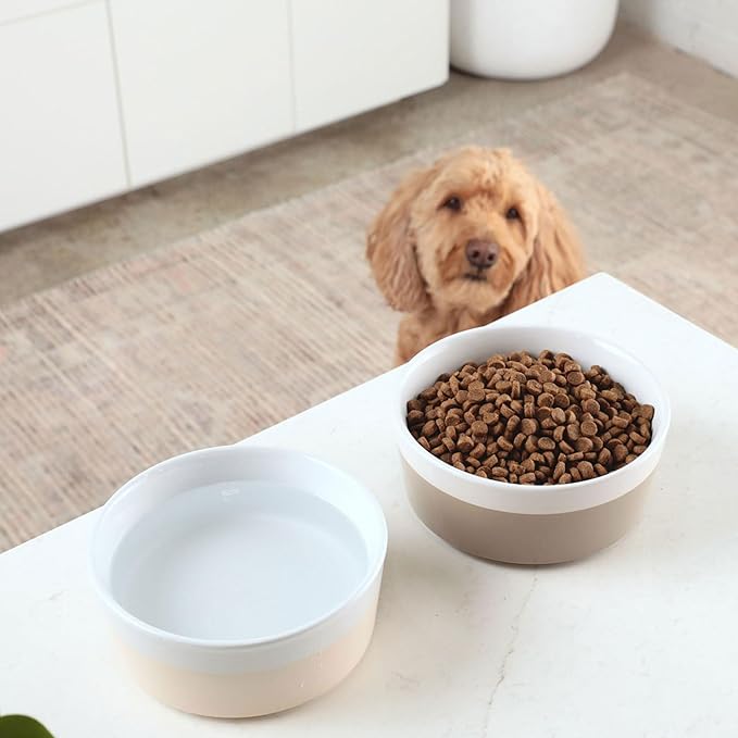 Set of 2 Waggo Dipper Ceramic Dog Bowls Heavyweight Pet Food and Water Bowls Non Slip Stoneware Dishwasher Safe (Large, Vintage Grey)