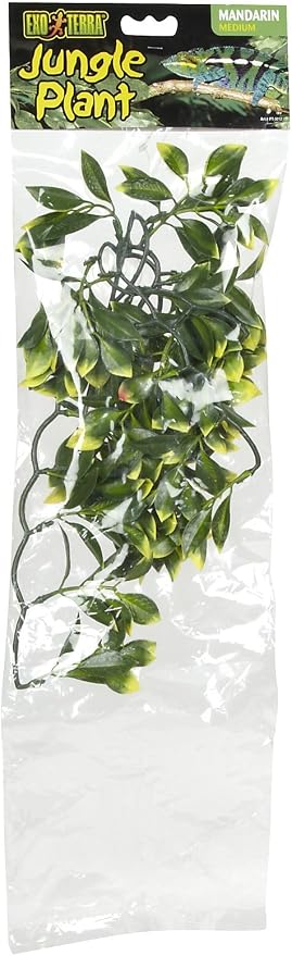 Hagen Exo Terra Plastic Terrarium Plant, Medium, Mandarin