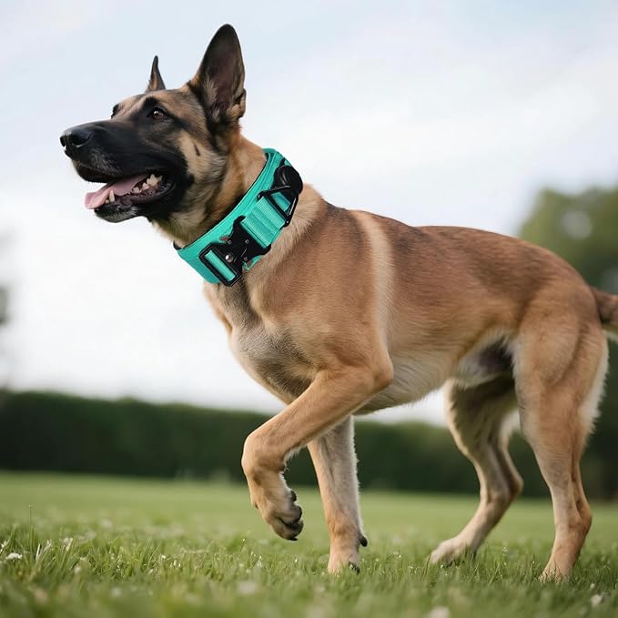 AirTag Dog Collar, 2" Wide Tactical Military Dog Collar with AirTag Holder & 3 Pet Patches, Soft Padded Reflective Waterproof Nylon Collar with Metal Buckle for Large Dogs (Teal, L)