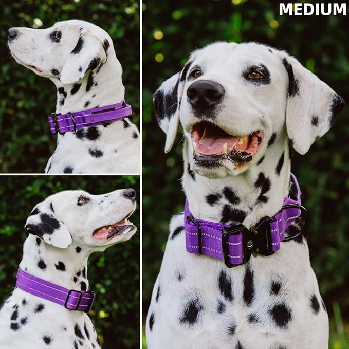 Tuff Pupper Tactical Dog Collar | Heavy Duty 1.5" Wide Ballistic Nylon | Training Control Handle | Quick-Release Metal Buckle | Reflective Bands | ID Tag Holder | Padded Inner Lining (Purple, Medium)