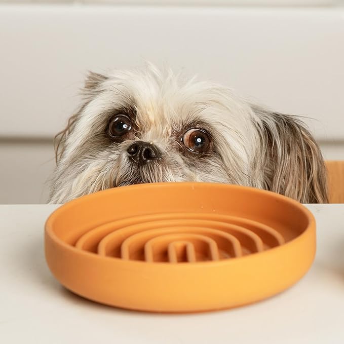 Should We Go? Slow Feeder for Dogs & Cats, The Slowdown Bowl Silicone Slow Eating Mealtime Solution with Modern Lick Mat Design, Reduces Gulping, Fits 1 Cup, 6” Across x 1.25” Tall, Small-Terracotta