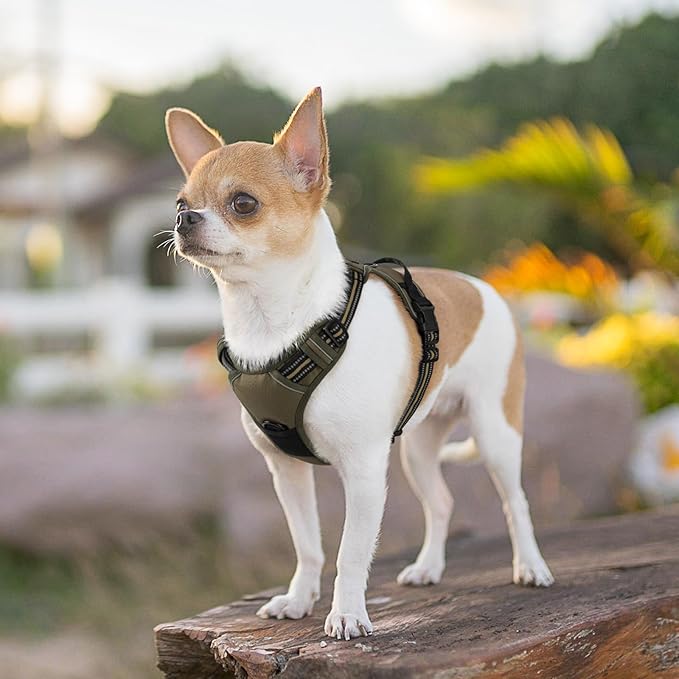 Eagloo Small Dog Harness No Pull, Service Vest with Reflective Strips and Control Handle, Adjustable and Comfortable for Easy Walking, No Choke Pet Harness with 2 Metal Rings, Brown, XS
