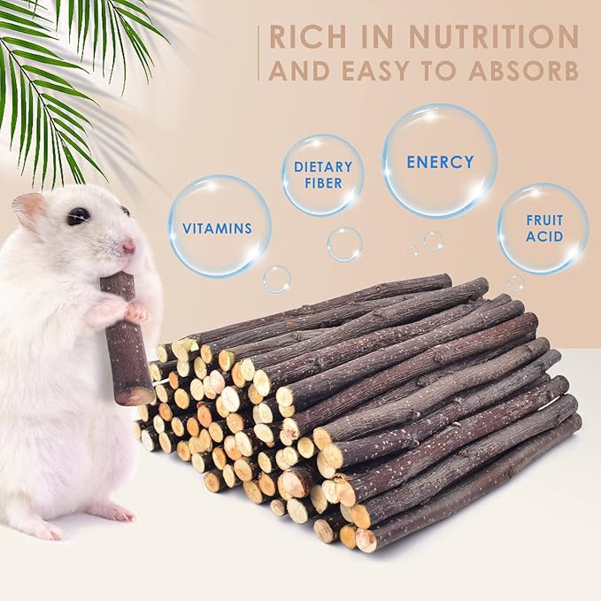 Bissap Apple Sticks for Rabbits, Natural Bunny Chew Toys and Treats for Chinchilla Guinea Pig Hamster Gerbil Small Animals Pet Apple Wood Stick Toys Teeth Grinding (460g/1lb)