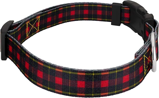Country Brook Petz - Buffalo Plaid Everyday Dog Collar and Leash - Plaid and Argyle Collection Featuring Charming Designs (1/2 Inch, Extra Small)
