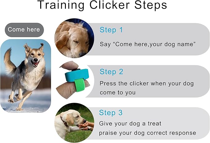 Pet Clicker for Dogs/Cats/Horses/Birds or Other Animals - Mini Finger Clickers for Training (Finger clickers Black+Blue)
