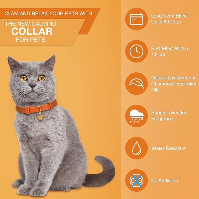 Weewooday 4 Pcs Cat Calming Collar Adjustable Pheromones Scent Relaxing Cat Collar with 2 Pendant for Puppies Reduce Stress Aggression Anxious, up to 15 Inches(Orange)