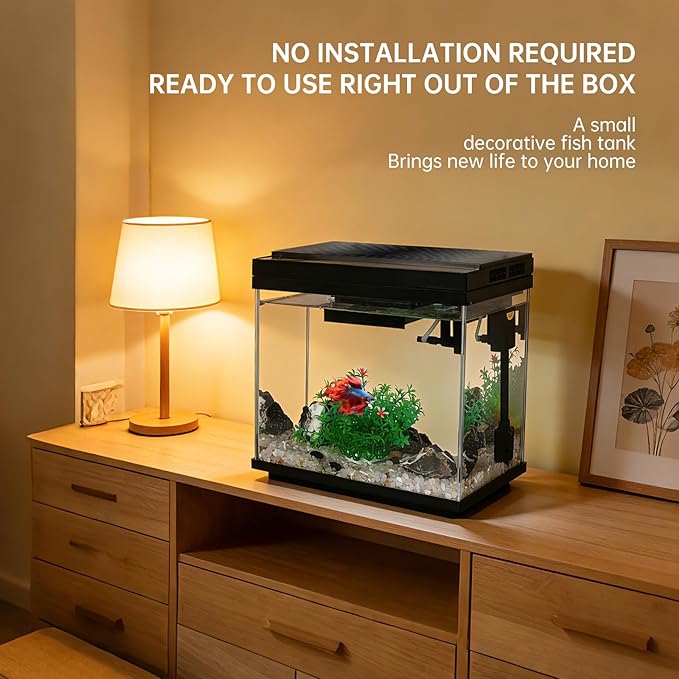 FS&AQ 3 Gallon Fish Tank with Filter and Light No-Install Small Aquarium Starter Kit