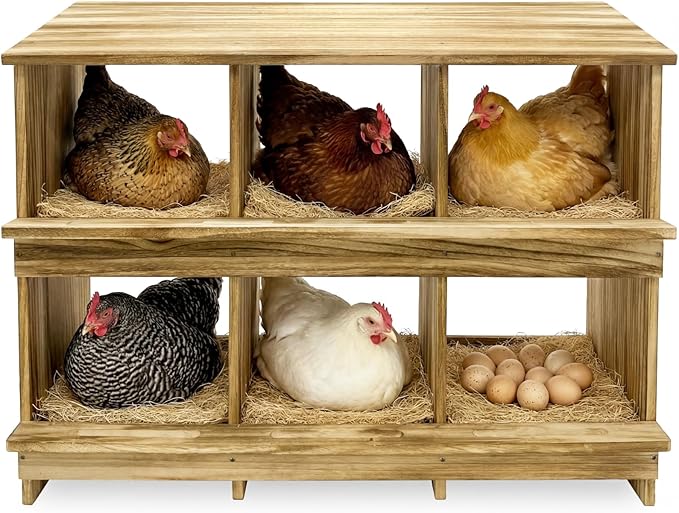 6 Holes Gold Standard Chicken Nesting Box for Laying Eggs, Two-Tier Wooden Nesting Boxes for Chickens, Farmhouse Series Laying Box for Hens, Ducks and Birds