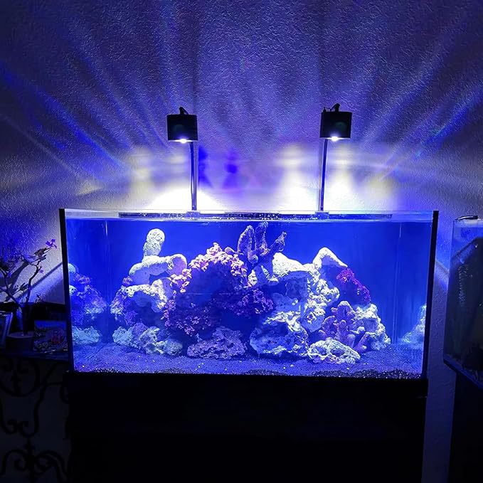 Lominie Aquarium LED Light, Reef Coral Light Saltwater Aquarium Light Full Spectrum with Remote Control Gooseneck for 10 Gallon Fish Tank
