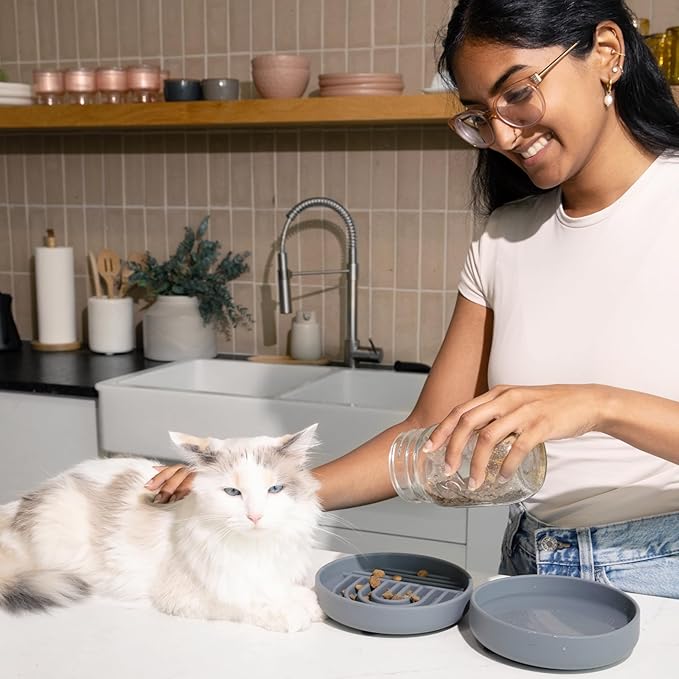 Should We Go? - The Slowdown Bowl Silicone Slow Feeder for Cats & Kittens, Slow Eating Mealtime Solution with Modern Lick Mat Design, Reduces Gulping, Fits 1 Cup 6” Across x 1.25” Tall, Small-Tan