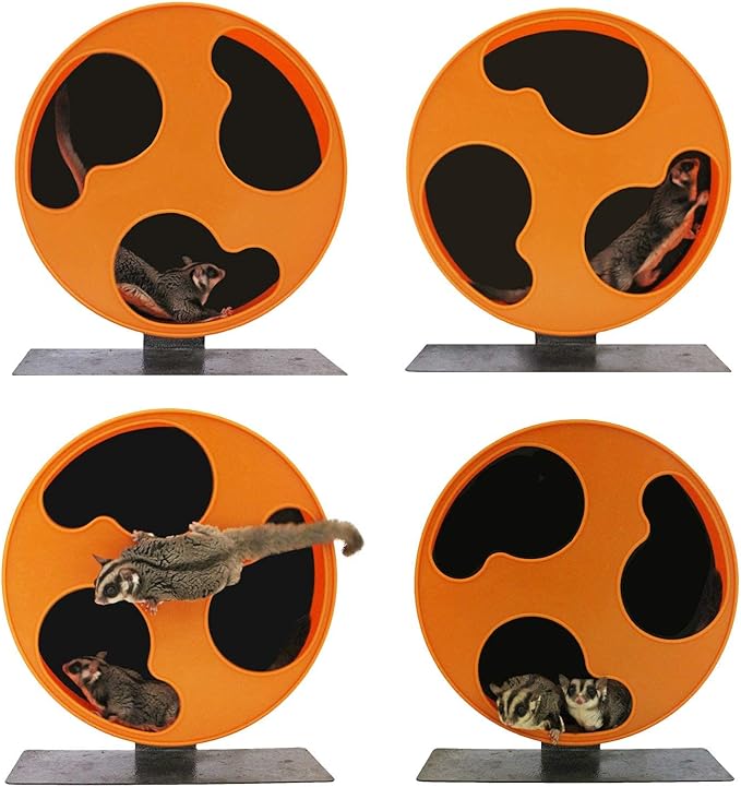 Silent Runner 12" Regular | Wheel + Cage Attachment | Sugar Gliders, Hamsters, Rats