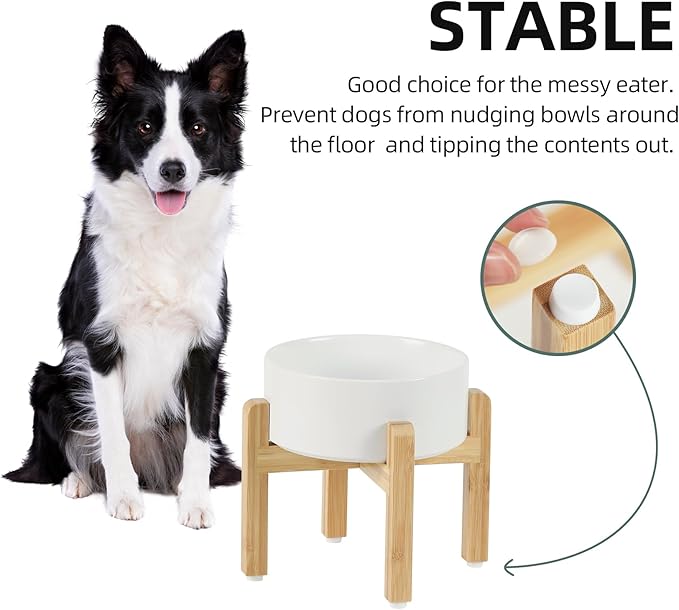 Havniva Ceramic Raised Dog Bowl Set, Elevated with Stand, Food and Water Bowl for Medium Breed Dogs, Weighted Dog Dishes, Pet Bowl(7.3'',41OZ, White)