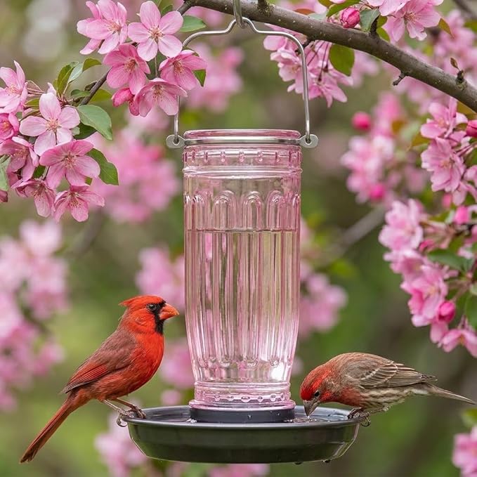 Kingsyard Glass Bird Water Dispenser for Outdoor, 16 Oz, Bird Water Feeder with Metal Hanging for Garden Yard Fence Decoration Hummingbird Cardinal Bluebird Finch, Pink