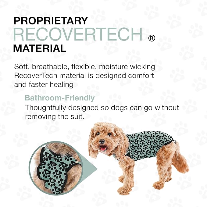 BellyGuard Dog Surgery Recovery Suit, Dog Onesie for Post-Op Care, Recovery Apparel for Female and Male, Surgical Body Cover for Canine Healing Support