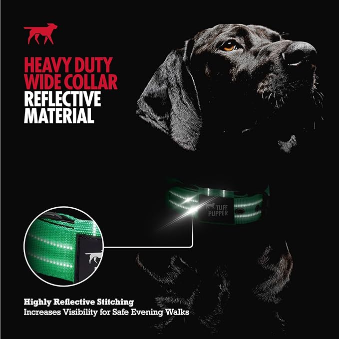 Tuff Pupper Heavy Duty Tactical Dog Collar | 1.25" Wide Ballistic Nylon | Reflective Stitching | Integrated ID Tag Holder | Stainless Steel Buckle | Padded Lining | Small & Medium Dogs (Green, Small)