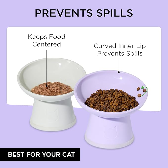 Necoichi 2pcs Tilted Elevated Cat Food Bowls BPA-Free Plastic 15° Tilted Raised Cat Bowl for Whisker & Neck Fatigue, Dishwasher Safe Non-Slip & Anti-Vomiting Ergonomic Design (Lilac Ice)