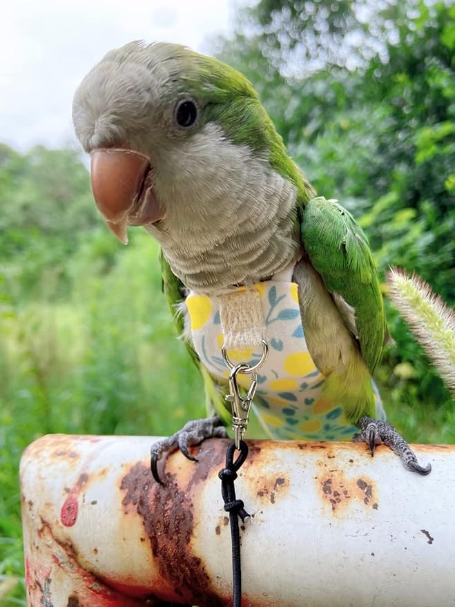 Bird Diaper Harness Flight Suit Clothes, Parrot Flight Suit with Leash, Bird Flying Clothes with Rope and Handle for Outdoor Activities Training (Yellow with Leash,Medium)