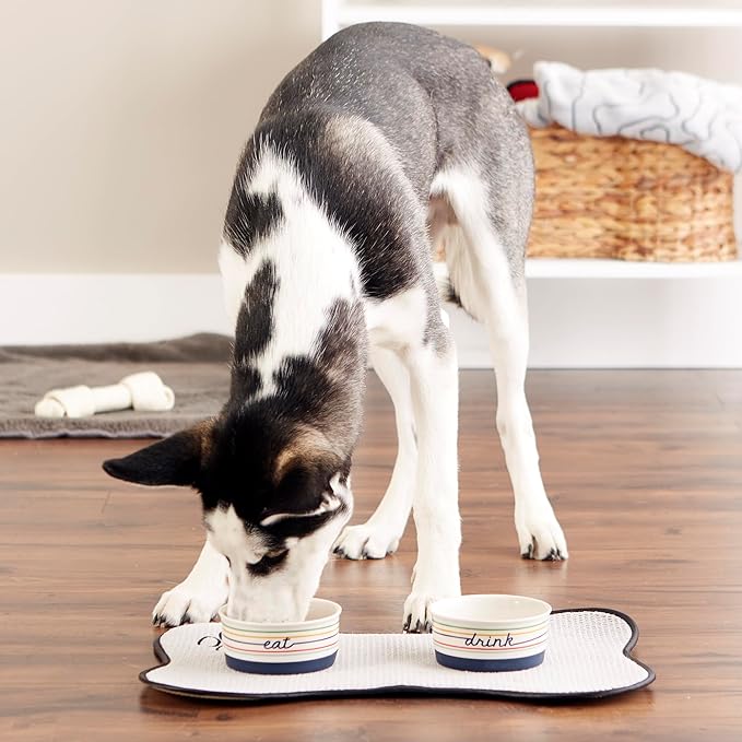 Bone Dry Ceramic Food Bowls, Non-Slip & Dishwasher Safe, Small Set, 4.25x2 Eat/Drink