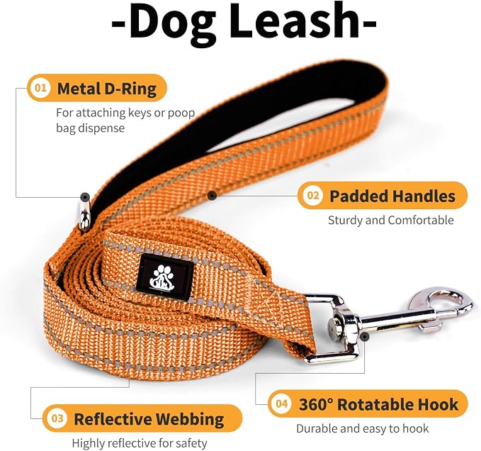 IVY&LANE Reflective Dog Collar and Leash Set,Adjustable Neoprene Padded Dog Collars for Puppy, Breathable Nylon Pet Collar for Small Medium Large Dogs(Small,Orange)