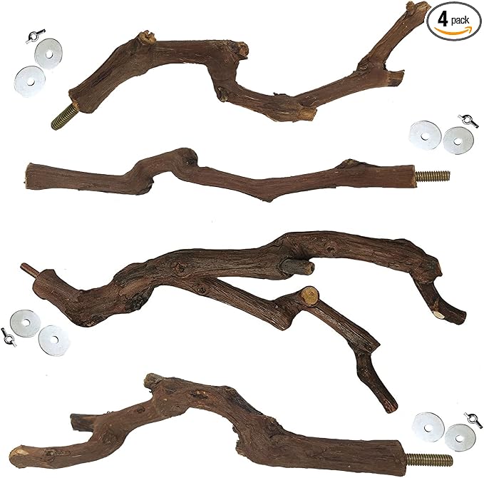 kathson Natural Parrot Perch Bird Stand Pole Wild Grape Stick Paw Grinding Fork Parakeet Climbing Standing Branches Toy Chewable Cage Accessories for Small Budgies Cockatiels Lovebirds 4PCS