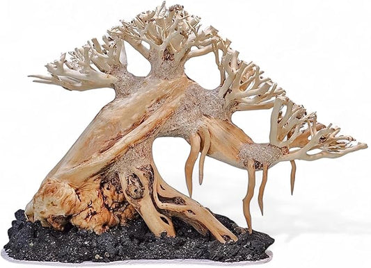 Azil Aquascape Bonsai Driftwood Tree 10” – Premium Natural Aquarium Decor for Fish Tanks, Freshwater Aquariums, Hardscape & Planted Tanks