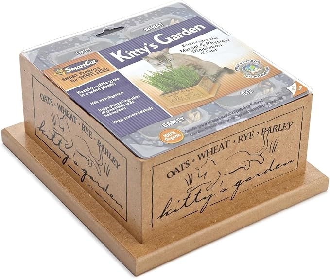 SmartCat 3844 Kitty’s Garden Edible Grass Planter